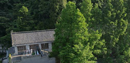 南海新区诚峰体育俱乐部