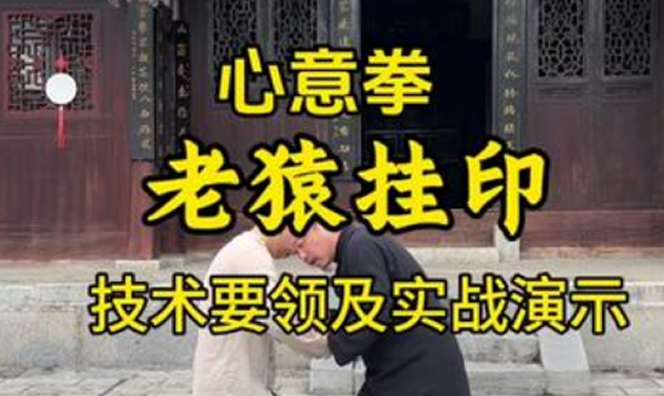 电影《一代宗师》里老猿挂印的技术要领及实战演示