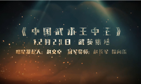《中国武术王中王》集锦（三）