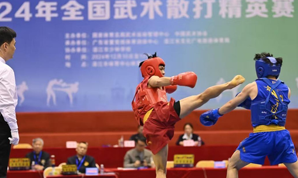 2024年全国武术散打精英赛在广东湛江开赛