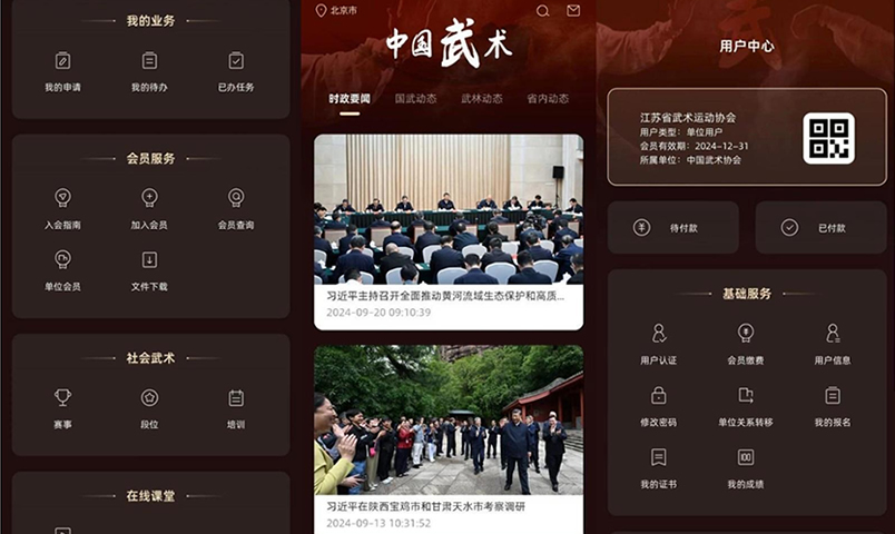 2024年度十大武术新闻
